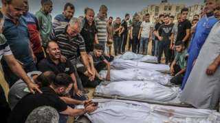 الصحة الفلسطينية : 7 شهداء...