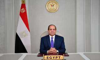 السيسي ورئيس اللجنة الدائمة لنواب...