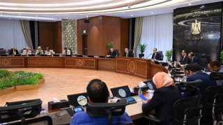 مدبولي:  الدولة مُلتزمة بالاستمرار...