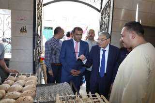 محافظ المنيا يتفقد عدداً من...