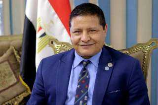 السفير مصطفى الشربينى: بدء تفعيل...