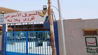 محافظ أسوان يوجه بسرعة تلبية...