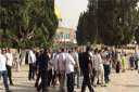 مئات المستوطنين يقتحمون المسجد الأقصى...