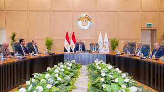 وزير الموارد المائية والرى ومحافظ...
