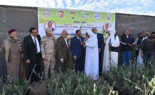 محافظ مطروح: تم توزيع وزراعة...