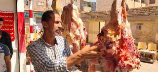 تموين المنيا يضبط 519 مخالفة...