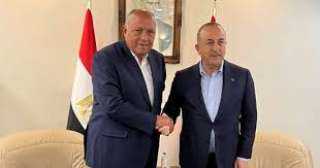 سامح شكرى ونظيره التركى يؤكدان...
