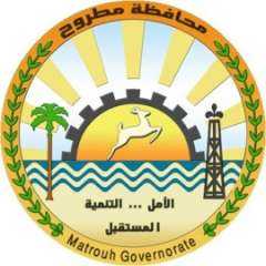 30 يونيو .. إرادة شعب...