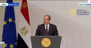 الرئيس السيسى يحذر من توسع...