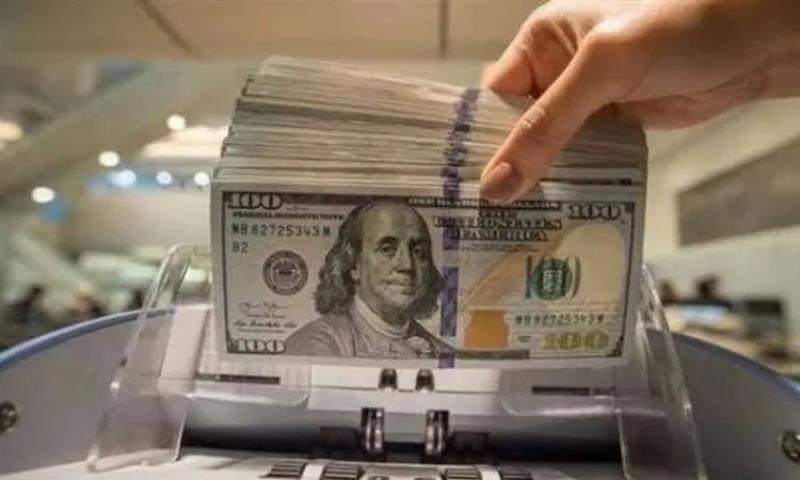 سعر الدولار اليوم مقابل الجنيه