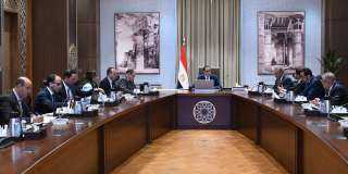 رئيس الوزراء يستعرض 4 مشروعات...