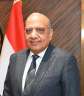 السيرة الذاتية للدكتور  محمود...