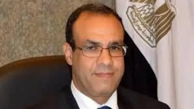 الدكتور بدر عبد العاطي وزير الخارجية