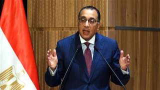 كامل الوزير وخالد عبد الغفار،...