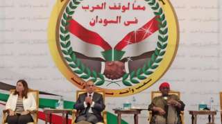 وزير الخارجية: مصر ستستمر فى...
