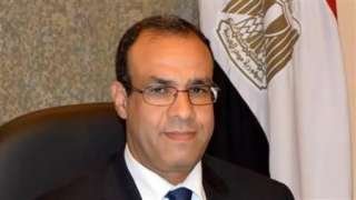 وزير الخارجية: مصر لن تقبل...