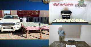 ضبط 4 عناصر إجرامية بالشرقية...