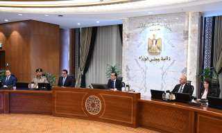 رئيس الوزراء: دفعة قوية فى...