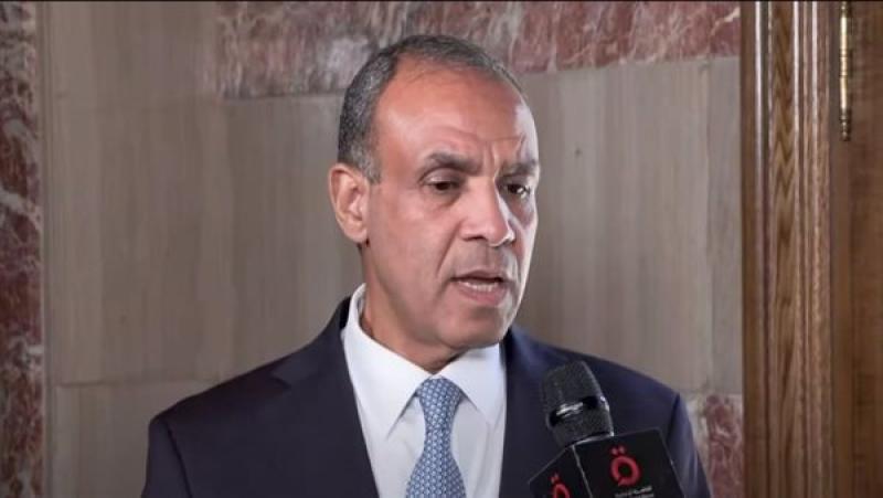 بدر عبدالعاطي