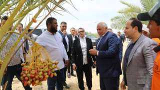 محافظ الوادي الجديد يتفقد مشروع...