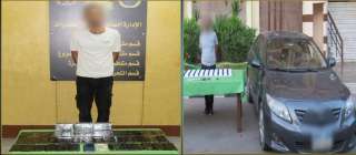 مواصلة الحملات المكثفة بمحيط المدارس...