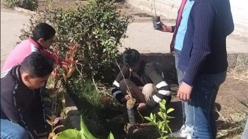 زراعة الاشجاء علي جانبي الطرق بدمياط