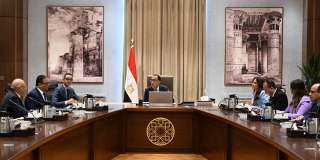 رئيس الوزراء يلتقى رئيس شركة...