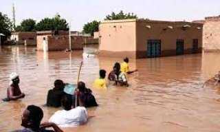 المنظمة الدولية للهجرة فى السودان:...