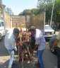 محافظ الجيزة يتابع نتائج لقاء...