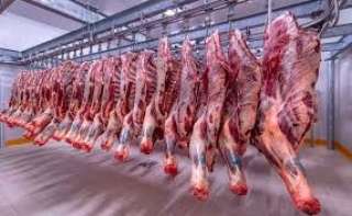 التموين: خطوات حاسمة نحو تأمين...
