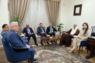 السفير رئيس قطاع الشؤون السياسية...