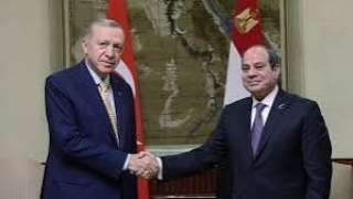 مصر وتركيا تطالبان بالوقف الفوري...
