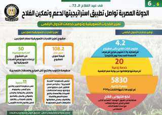 بالإنفوجراف... الدولة المصرية تواصل تطبيق...