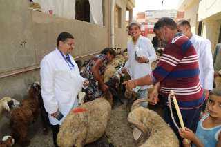 الزراعة احتفالا بعيد الفلاح ”الخدمات...