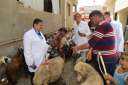 الزراعة احتفالا بعيد الفلاح ”الخدمات...