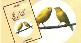 أحمد الخميسي : كــــــنـــــــاري من...