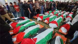 التعليم الفلسطينية : استشهاد 11...