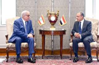 وزيرا خارجية مصر ولبنان يدينان...