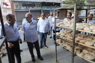 محافظ المنيا: ضبط 125 مخالفة...