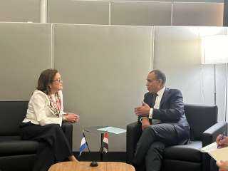 وزير الخارجية والهجرة وشئون المصريين...