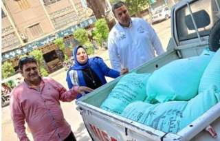 تموين الجيزة تشن حملاتها بأكتوبر...