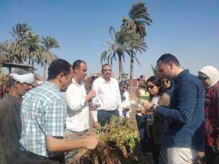 جهود الوحدة المحلية لمركز ومدينة...