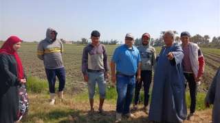 استفاد منها 15 ألف فلاح...