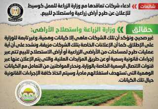الحكومة تنفى تعاقد شركات مع...