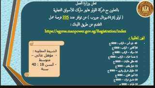 التقديم أونلاين ..وزارة العمل تعلن...