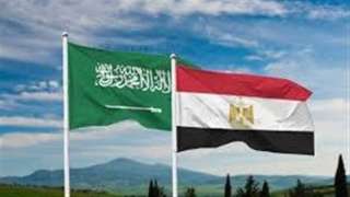 الإحصاء: 408.5 مليون دولار استثمارات...