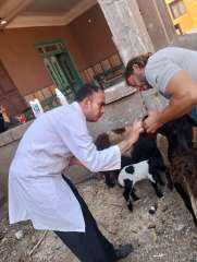 تقديم 2694 خدمة بيطرية في...