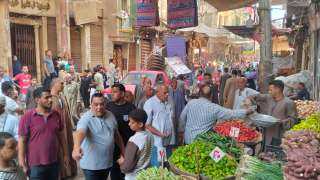 محافظ أسيوط: إستمرار حملات إزالة...