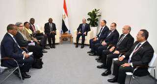 الرئيس السيسي يلتقى بالرئيس الجنوب...