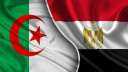 أهم 5 سلع صدرتها مصر...
